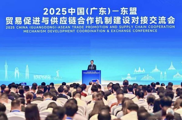 最好的股票配资网站 2025中国（广东）—东盟贸易促进与供应链合作机制建设对接交流会在穗举行